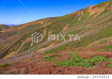 栗駒山 秋の紅葉 栗駒山 秋の紅葉 143754511