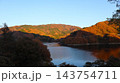 紅葉に染まるダム湖　草木ダム 143754711