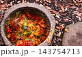 水に浮かぶ紅葉　筑西市　最勝寺 143754713