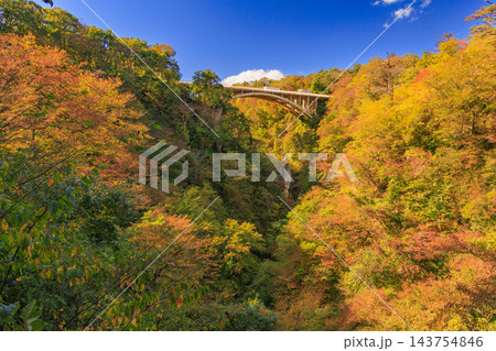 秋の紅葉に染まる宮城　鳴子峡 143754846