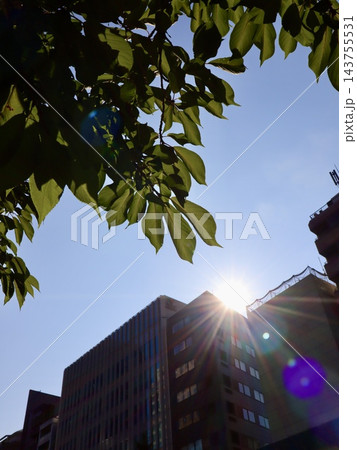 逆光の緑の葉と都会のビルの谷間に光芒を放つ東京の朝の太陽|広告・Web背景に使えるコピースペース 逆光の緑の葉と都会のビルの谷間に光芒を放つ東京の朝の太陽|広告・Web背景に使えるコピースペース 143755531