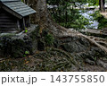 祠と大木の根の風景 143755850