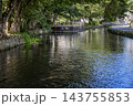 満々と流れる湧水桜川の風景 143755853