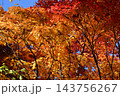 秋の鳥沼公園 143756267