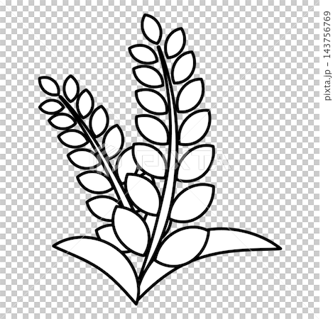 Rice icon, harvest, autumn, rice, paddy field, rice farming, agriculture, new rice, black and white, single item, vector illustration Rice icon, harvest, autumn, rice, paddy field, rice farming, agriculture, new rice, black and white, single item, vector illustration 143756769