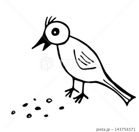 Simple hand-drawn vector drawing in black outline. Little bird pecks grain. Nature, ornithology. 143758371
