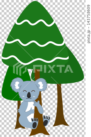 Cute Koala Hugging Pine Tree in Forest Celebrating Festive Season Cute Koala Hugging Pine Tree in Forest Celebrating Festive Season 143758609