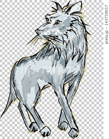 Wolf watercolor-style illustration (png) Wolf watercolor-style illustration (png) 143759017