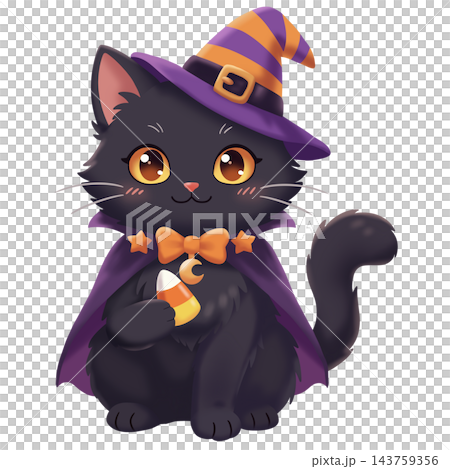 black cat in hat black cat in hat 143759356