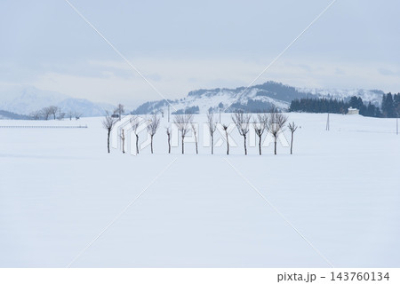 真冬の小千谷市池ケ原で雪降る雪原の中に佇むはさ木と雪で霞む雪山のシルエットを捉えた幻想的な風景 143760134