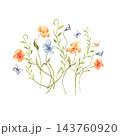 Cute watercolor wildflower bouquet with small butterfly in soft blue and orange tones isolated white. Spring meadow flowers hand drawn. Charming floral illustration for kids' room wall art or cards. 143760920