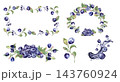 Watercolor bilberry set with berries, greenery branches and green leaves isolated. Frame, wreath and splash elements for food packaging hand drawn. Forest berry illustration for superfood branding. 143760924