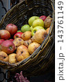 Autumn Harvest Still Life with Apples and Pears. Rural market stand with fresh fruits in wicker basket. Healthy food background. Juicy apples and pears in garden. October harvest. Fall harvest. 143761149