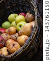 Autumn Harvest Still Life with Apples and Pears. Rural market stand with fresh fruits in wicker basket. Healthy food background. Juicy apples and pears in garden. October harvest. Fall harvest. 143761150