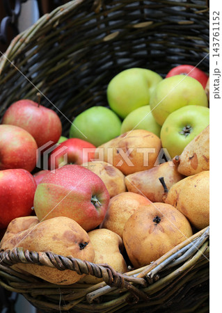 Autumn Harvest Still Life with Apples and Pears. Rural market stand with fresh fruits in wicker basket. Healthy food background. Juicy apples and pears in garden. October harvest. Fall harvest. Autumn Harvest Still Life with Apples and Pears. Rural market stand with fresh fruits in wicker basket. Healthy food background. Juicy apples and pears in garden. October harvest. Fall harvest. 143761152