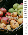 Autumn Harvest Still Life with Apples and Pears. Rural market stand with fresh fruits in wicker basket. Healthy food background. Juicy apples and pears in garden. October harvest. Fall harvest. 143761153