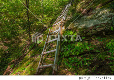 大崩山（湧塚コース）の梯子場 143761175