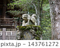 筑波山神社、拝殿前の狛犬 143761272