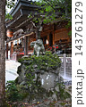 筑波山神社、拝殿前の狛犬 143761279