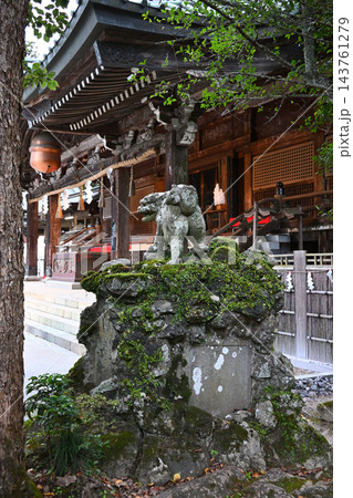 筑波山神社、拝殿前の狛犬 143761279