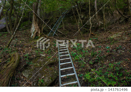 大崩山（湧塚コース）の梯子場 143761496