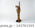 東マレーシア、クチンの木彫り猫の置物 143761505