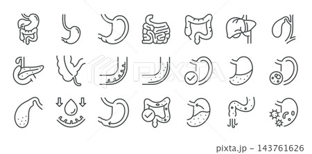 Digestive System Vector Icons Set. Human...のイラスト素材 [143761626] - PIXTA