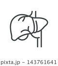 Liver Icon. Internal Organ Anatomy. Thin Line Digestive System Vector Illustration. Isolated Medical Outline Symbol 143761641