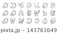 Stomach Disorders Vector Icons Set. Acid Reflux Gastritis Heartburn Nausea. Thin Line Medical Outline Collection 143761649