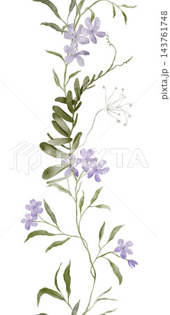 Hand painted watercolor vertical seamless border of lavender phlox and sweet william with sage green leaves and buds on white, repeating botanical banner for invitations, packaging, textile and decor. 143761748