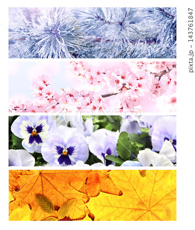 Four season of year. Set of horizontal nature banners. Each one features scene of nature, from the gentle snowfall of winter to the vibrant leaves of summer. Perfect for showcasing changing seasons Four season of year. Set of horizontal nature banners. Each one features scene of nature, from the gentle snowfall of winter to the vibrant leaves of summer. Perfect for showcasing changing seasons 143761847