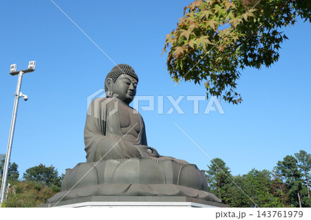 東京都　秋　日の出町　鹿野大仏 143761979