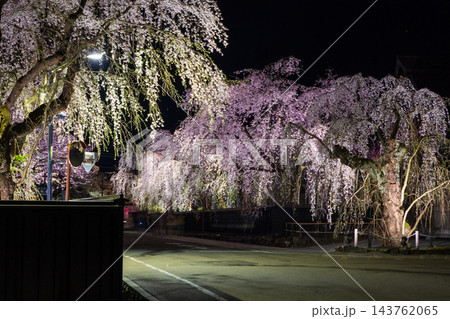 春の秋田県仙北市 日本さくら名所100選 角館武家屋敷通り 夜桜ライトアップ 春の秋田県仙北市 日本さくら名所100選 角館武家屋敷通り 夜桜ライトアップ 143762065