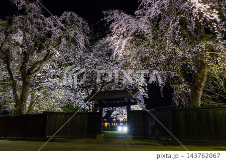 春の秋田県仙北市　日本さくら名所100選　角館武家屋敷通り　夜桜ライトアップ 143762067