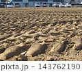 元農地に新築された賃貸住宅と農耕車の轍の残る秋の畑風景 143762190