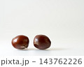 いが栗から出したばかりの艶やかな栗 白背景 コピースペース 143762226
