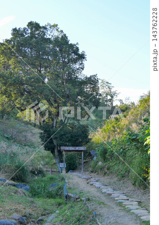 東京都 秋 日の出町 鹿野大仏 鹿の湯湯元跡 東京都 秋 日の出町 鹿野大仏 鹿の湯湯元跡 143762228