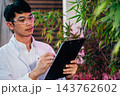 Asian man checking hemp plants in the field writing on clipboard in front of a plant of a cannabis sativa, Scientist wearing safety goggles check quality control marijuana researcher 143762602