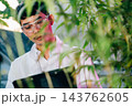 Asian man checking hemp plants in the field writing on clipboard in front of a plant of a cannabis sativa, Scientist wearing safety goggles check quality control marijuana researcher 143762605