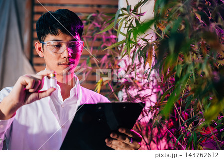 Marijuana researcher Asian man wearing glasses and holding a vial bottle and a clipboard to check list in cannabis sativa hemp plants in cannabis farms Marijuana researcher Asian man wearing glasses and holding a vial bottle and a clipboard to check list in cannabis sativa hemp plants in cannabis farms 143762612