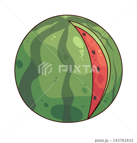 Illustration of Watermelon  143762632