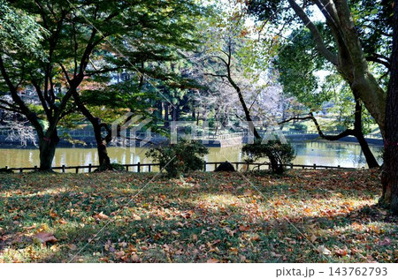 秋の風景 池 秋の風景 池 143762793