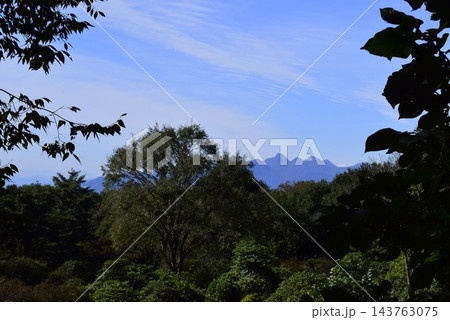 群馬　公園内から見える青空 143763075