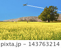 権現堂堤の菜の花畑の絶景 143763214