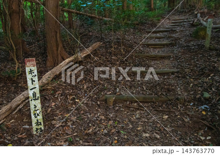 二ノ岳(熊ノ岳)の登山道(えびね坂) 二ノ岳(熊ノ岳)の登山道(えびね坂) 143763770
