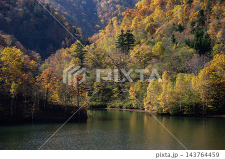 定山渓の紅葉 定山渓の紅葉 143764459