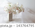 白い胡蝶蘭 143764795