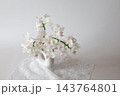 白い胡蝶蘭 143764801