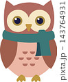 Cute Winter Owl Character Wearing Green Scarf Cute Winter Owl Character Wearing Green Scarf 143764931