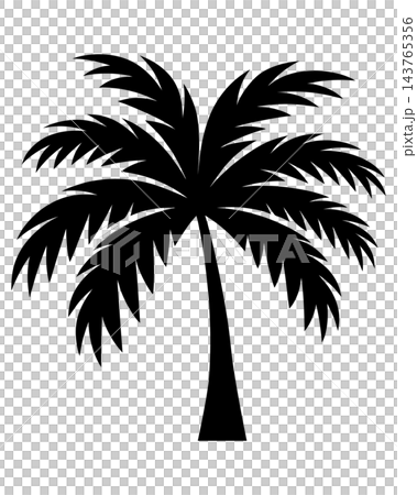 Black palm tree with curved trunk, isolated illustration Black palm tree with curved trunk, isolated illustration 143765356